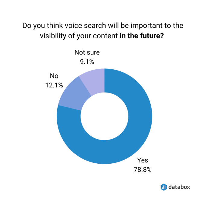 Voice optimization strategies
